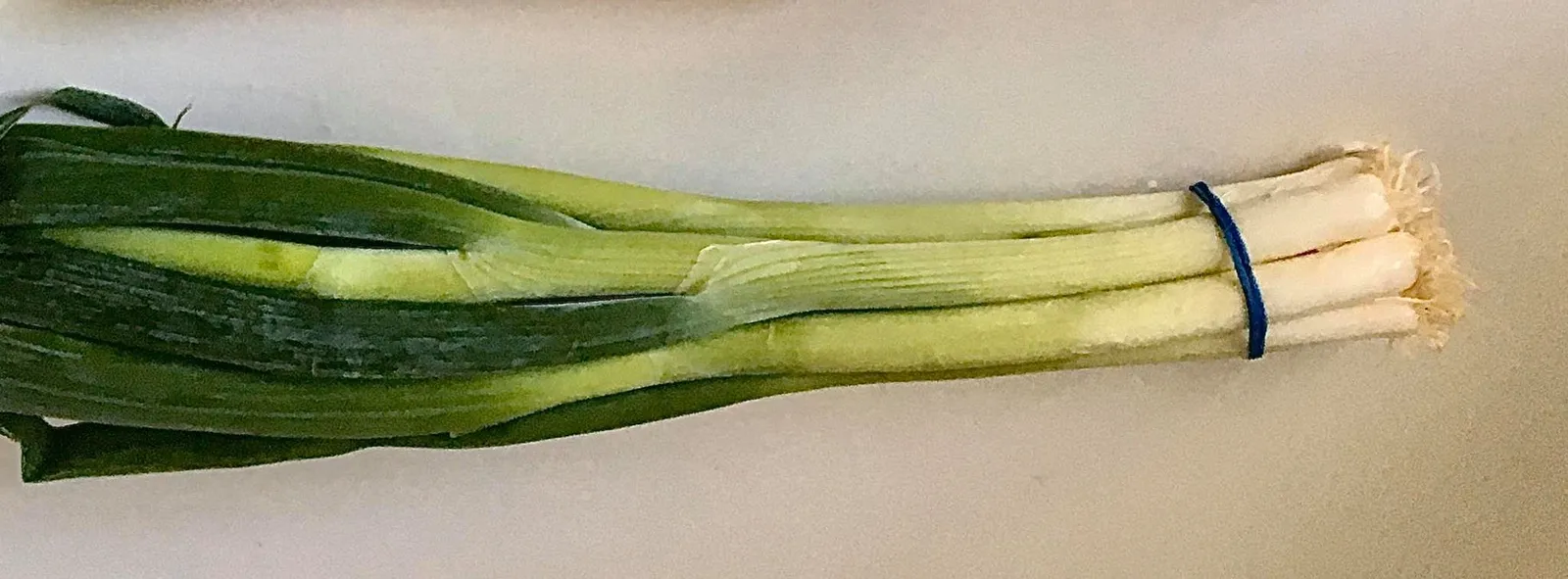 Spring Onion